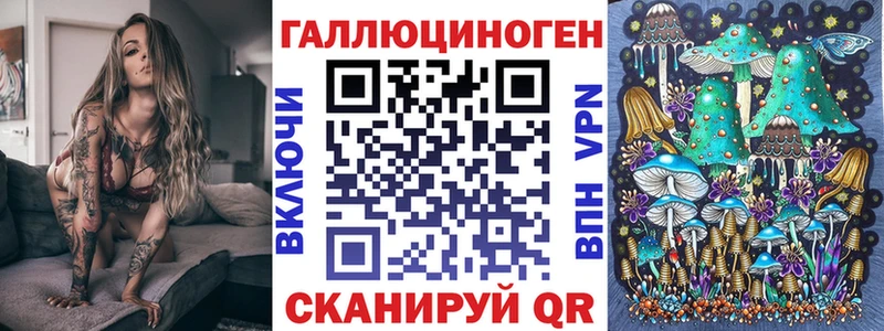 OMG как войти  Луза  Псилоцибиновые грибы GOLDEN TEACHER 
