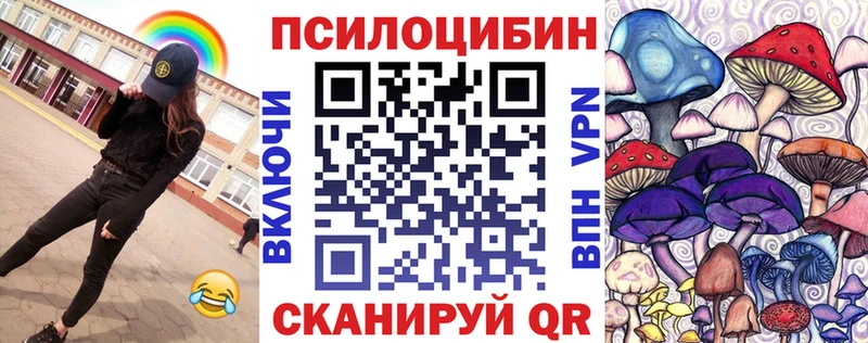 Псилоцибиновые грибы Psilocybe Луза