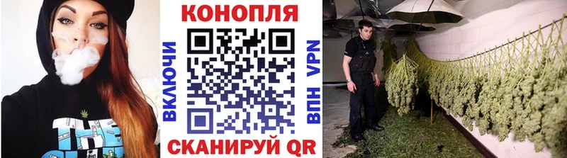 Каннабис конопля  Луза 